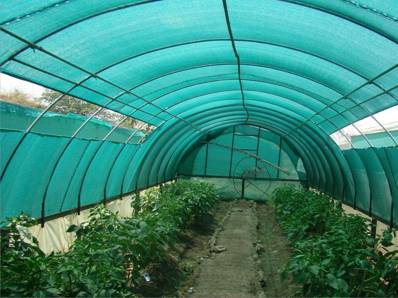 Agro Shade Net, Color : green/white/red