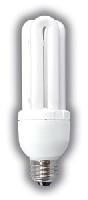 Compact Fluorescent Lamp