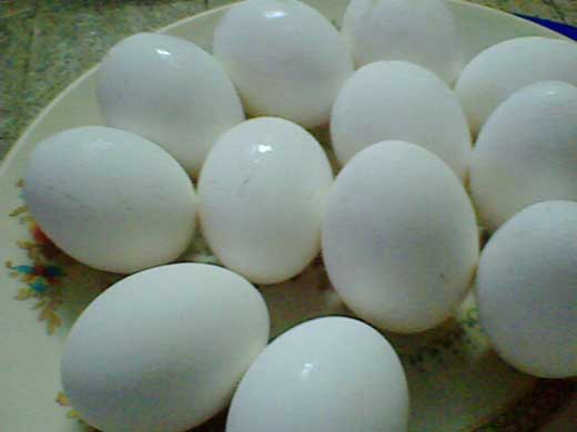 poultry eggs