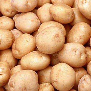 fresh potatoes