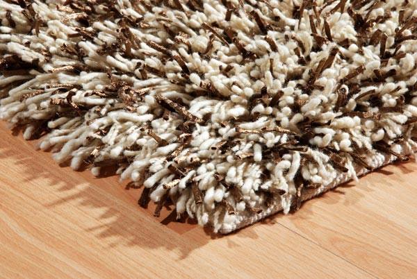 Fancy Shaggy Rug