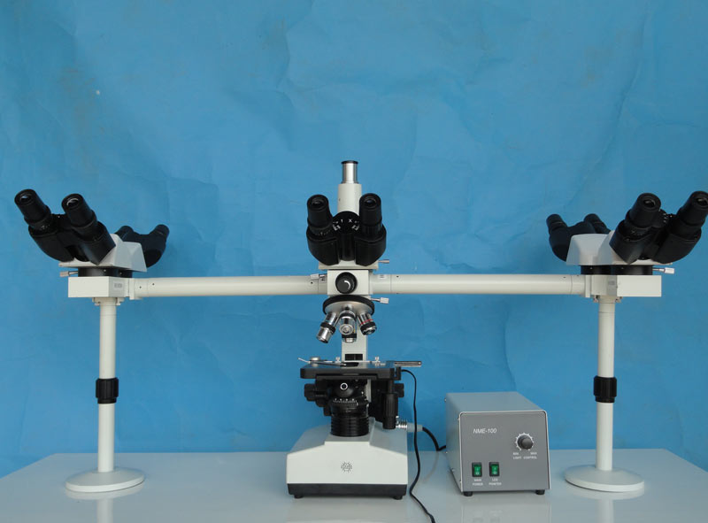 Penta Head Microscope (multi Viewing)