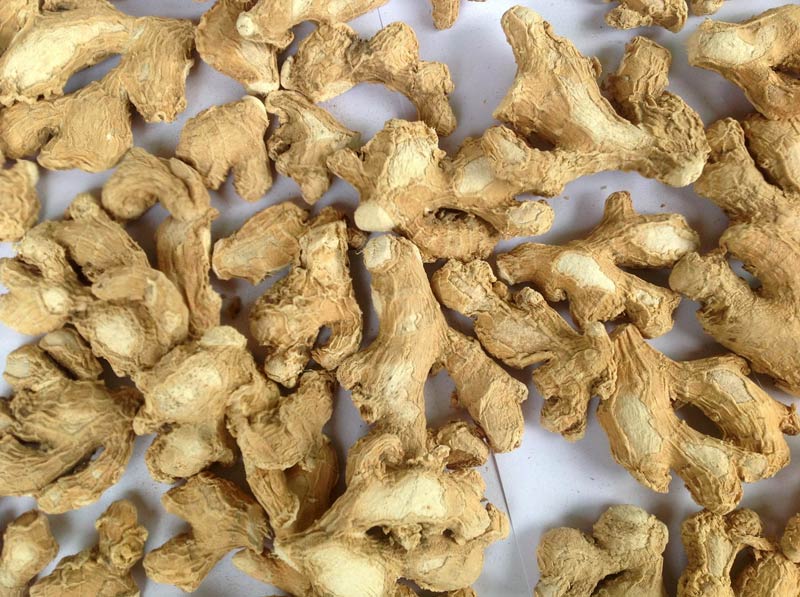 Dried Ginger Manufacturer in Kerala India by Ann Impex House of Spices