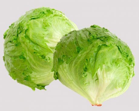 fresh lettuce