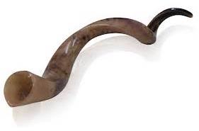 Horn Utensil, Bone Utensil