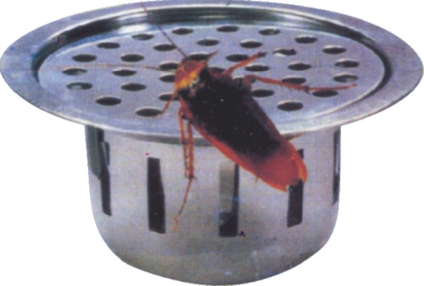 Cockroach Trap Round Shape