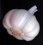 Garlic, Size : 5 cm