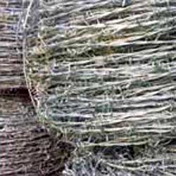 Galvanized Barbed Wire