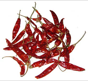 dried red chili