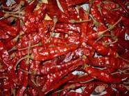 dry red chillies