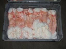 Frozen Rabbit Skins