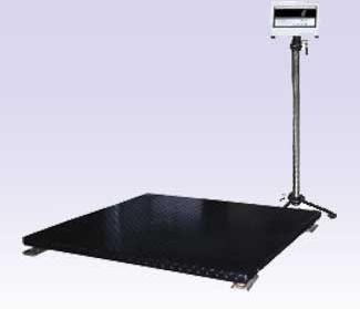 High Profile Floor Weighing Scale, Weighing Capacity : 100kg