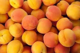 Organic Fresh Apricot, Packaging Size : 10kg, 1kg, 20kg, 5kg