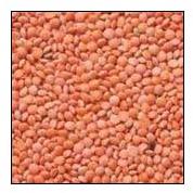 Red Masoor Lentil