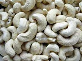 Cashew Nut Kernels (03)