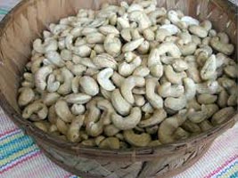 Cashew Nut Kernels (04)