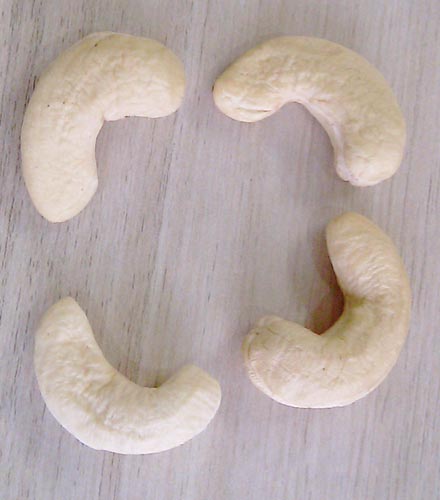 Cashew Nut Kernels (08)