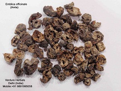 Emblica Officinale Extract