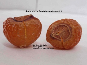 Soapnut Shells