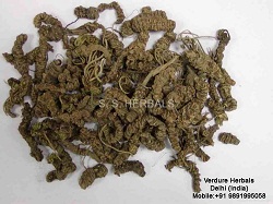 Valerian Roots Extract