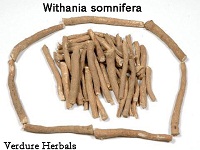 Withania Somnifera , Ashwagandha
