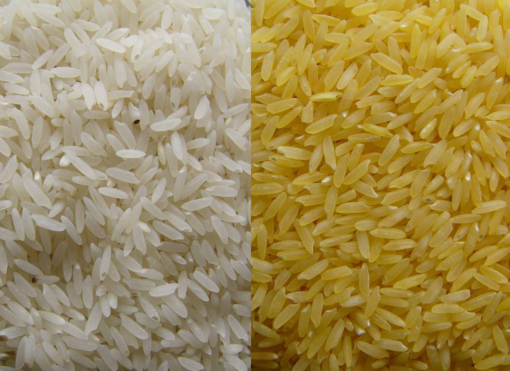 Для плова нужен пропаренный рис. Рис пакистанский Rice. Рис для плова длиннозерный. Пропаренный рис для плова. Рис басмати пропаренный для плова.