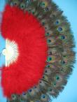 Double Row Peacock Feather Fans