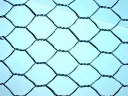 Hexagonal Wire Mesh