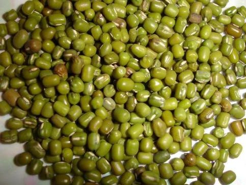 green gram seeds