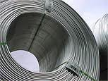 Steel Coil