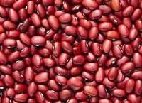 dark red kidney beans