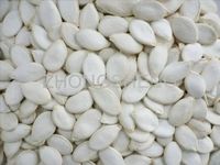 Snow White Pumpkin Seed