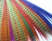 Hot colors Feathers for hair extension