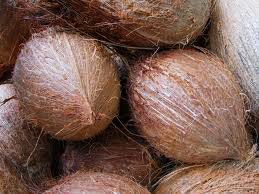 fresh coconut