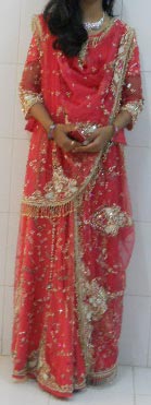 Designer Lehenga (belg-005)