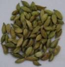 Green Cardamon, Black Cardamon