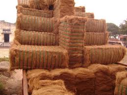 Coconut Fiber, Coir Pith, Color : brown glodn brown