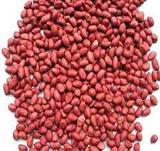 Bold Groundnut Kernels