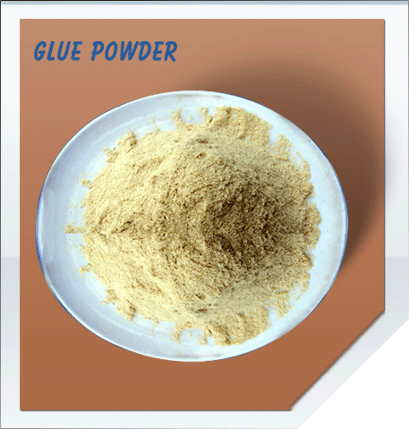 Animal Glue Powder