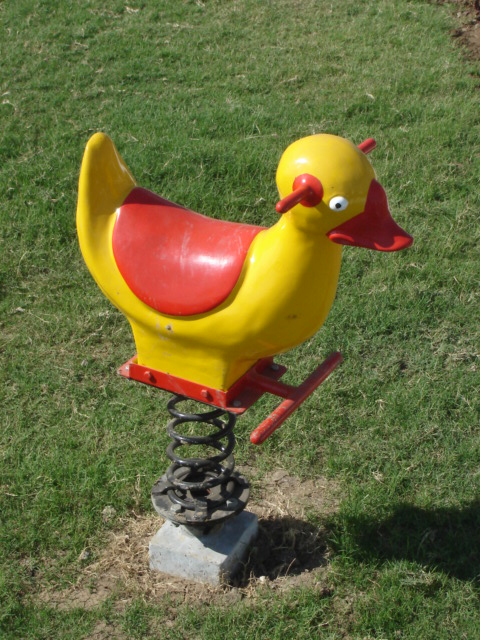 Spring Rider - Duck