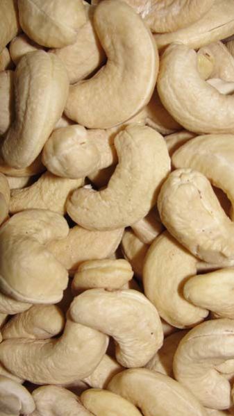cashew nuts