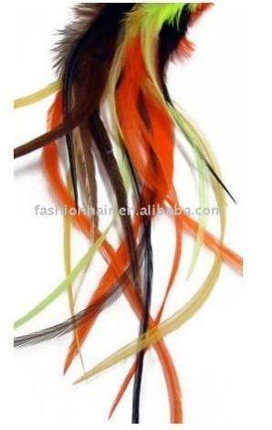 Fashion Feather Extension