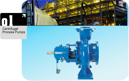 Chemical Process Pumps