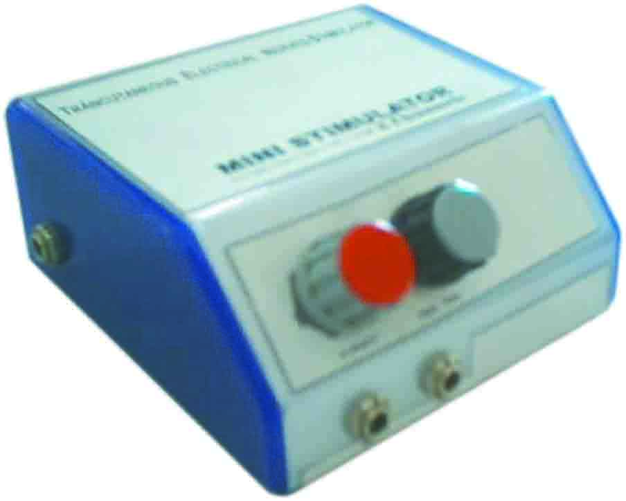 Acupuncture Electro Mini Stimulator