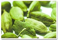 cardamom