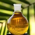 kernel oil