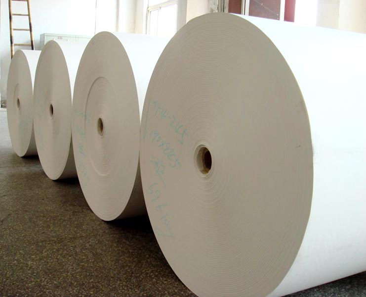 Pe Coated Paper, Pulp Material : Wood Pulp