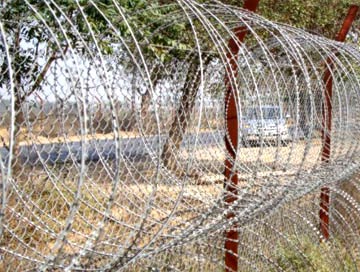 Concertina Wire