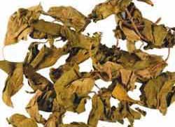 Dried Gurmar Leaves