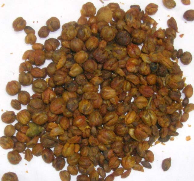 Malkangni Seeds
